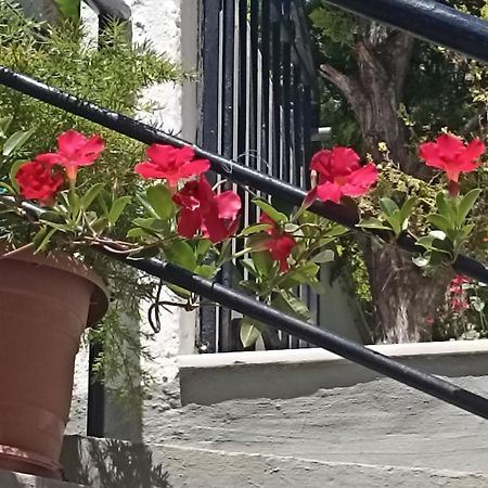 Charming Garden Apartment Rhodes City Extérieur photo